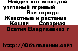 Найден кот,молодой упитаный игривый 12.03.2017 - Все города Животные и растения » Кошки   . Северная Осетия,Владикавказ г.